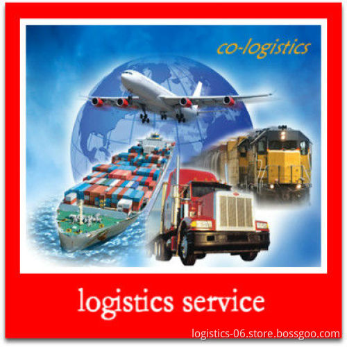 transportation logistics to Canada service from China--Eva